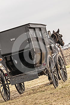 Amish,casket,buggy