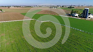 Amish cemetery in countryside as seen by a drone