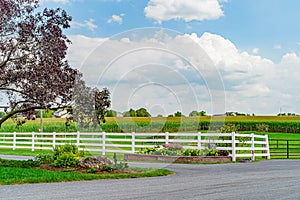 Amish country corn field, road trees fence and flowers in Lancaster, PA US