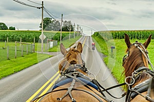 Amish country farm field agriculture and hoses in Lancaster, PA