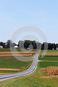 Amish Country Farm Landscape