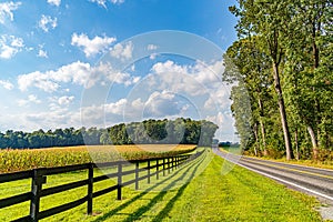 Amish country field agriculture, beautiful brown wooden fence, farm, barn in Lancaster, PA US photo