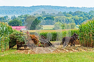 Amish country field agriculture, harvest, horse, farm, barn in Lancaster, PA