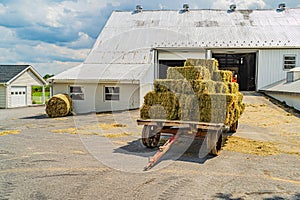 Amish country hay loaded wagon on the farm barn agriculture in Lancaster, PA US