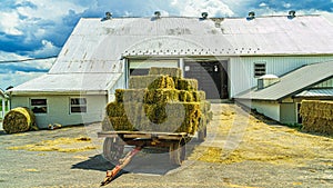 Amish country hay loaded wagon on the farm barn agriculture in Lancaster, PA US