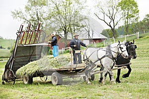 Amish Couple Preparing Their Fields in Spring