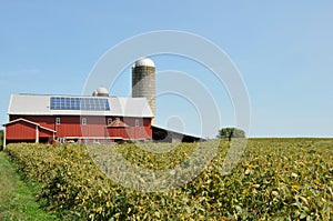 Amish Farm