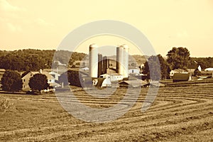 Amish Farm photo
