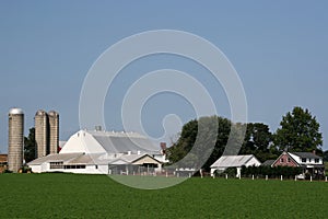 Amish farm