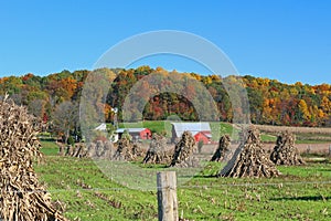 Amish farm in autumn
