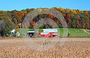 Amish farm in autumn