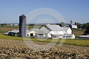 Amish farm and house