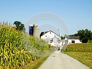 Amish Farm, Lancaster USA