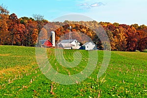 Amish Farm and Silos