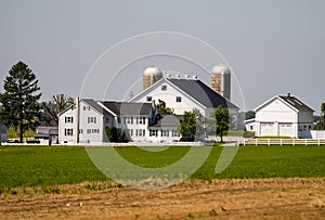 Amish Farm with White Fence