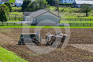 Amish Farmer Plowing Field After Corn Harvest with 6 Horses