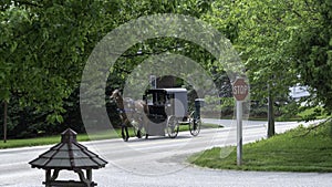 Amish Horse and Buggy 1