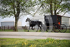 Amish horse and buggy,