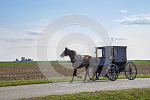 Amish horse and buggy