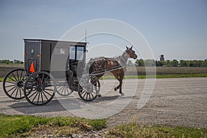 Amish horse and buggy