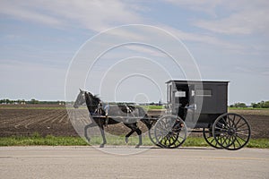 Amish horse and buggy