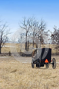 Amish horse and buggy