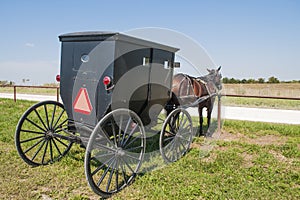 Amish horse and buggy