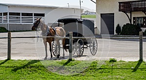 Amish horse and buggy.