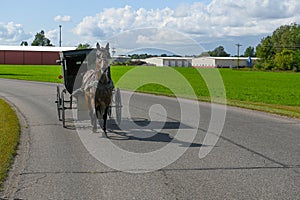 Amish Horse, Buggy, Carriage, Religion