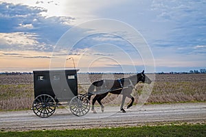 Amish horse and buggy