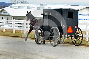 Amish Horse and buggy going to a local Amish store