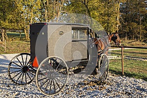 Amish horse and buggy,hitched