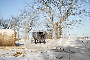 Amish horse and buggy