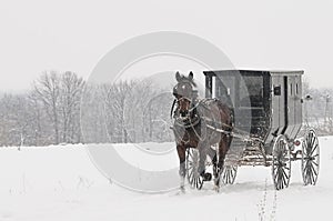 Amish horse and buggy,snow,storm