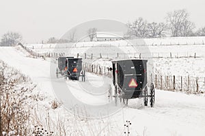 Amish horse and buggy,snow,storm