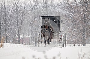 Un caballo a pequeno la nieve tormenta 