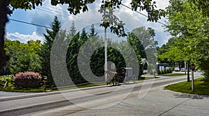 Amish Horse and Buggy Traveling Along a Residential Road