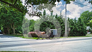 Amish Horse and Buggy Trotting Down a Country Road