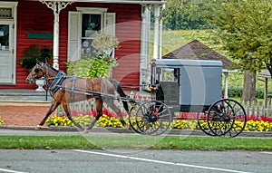 Amish Horse and Buggy Trotting to Country Store