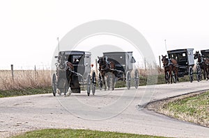 Amish horse and buggys