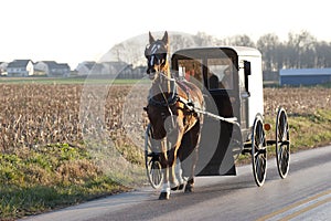 Amish horse cart