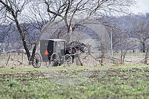 Amish horse drawn black buggy spoked,wheels,country side,farmland