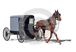 Amish horse-drawn carriage photo