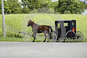 Amish (mennonite) people riding their buggy