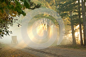 Amish in Morning Mist