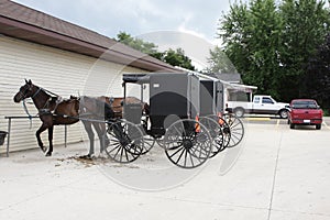 Amish transportation