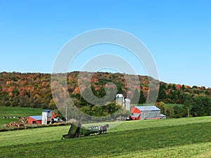 Amish Working in the Fields in Ohio in Autumn