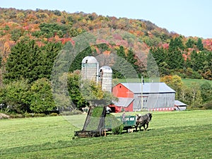 Amish Working in the Fields in Ohio in Autumn