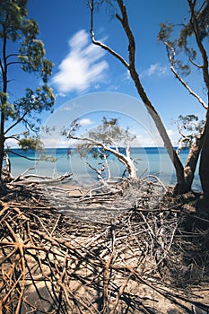 Amity Point beach on Stradbroke Island, Queensland