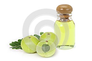 Amla fruit or indian gooseberry with green leaf and glass bottle of essential oil extract